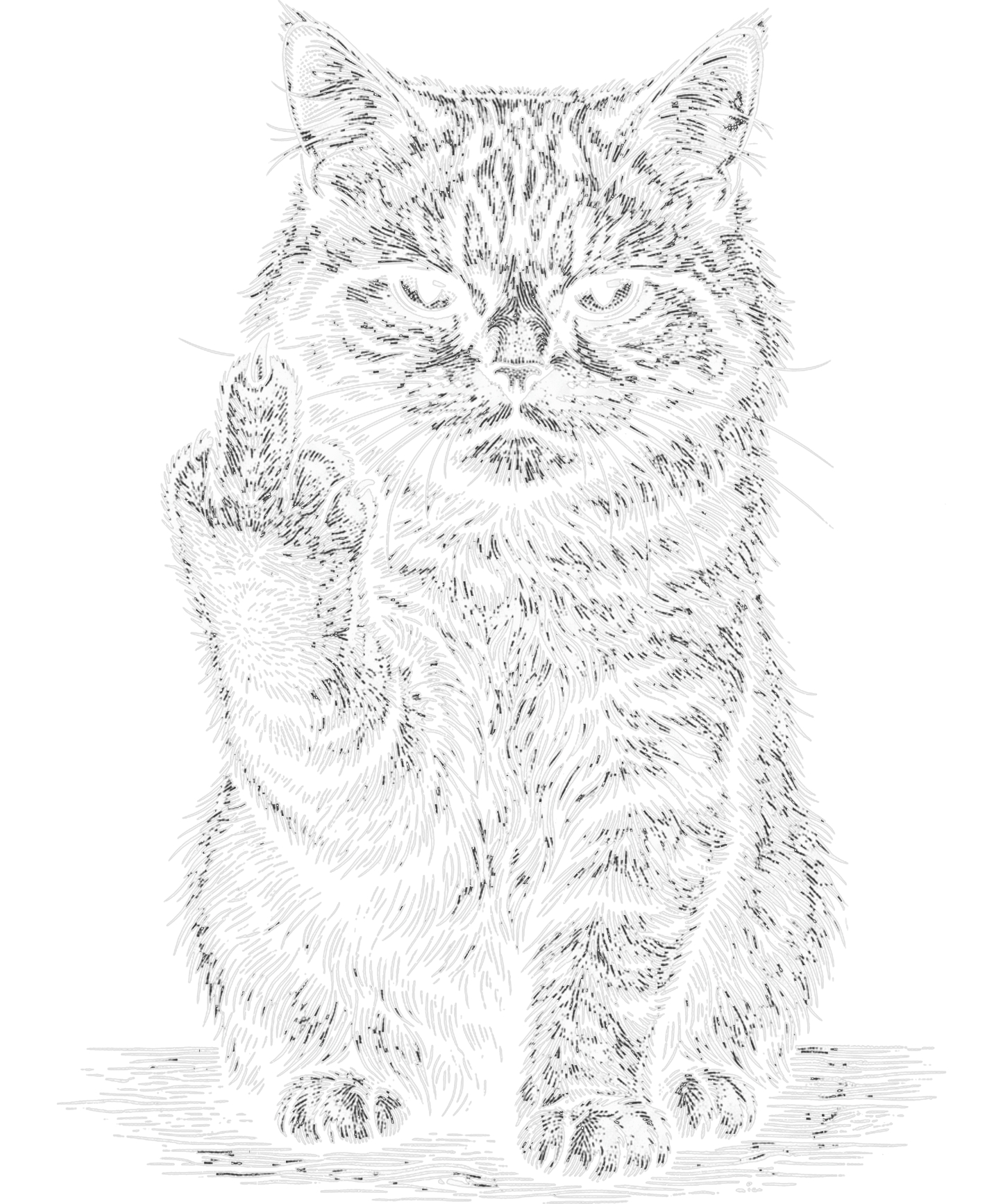 Sarcastic Cat - DTF Sheet Ready To Press